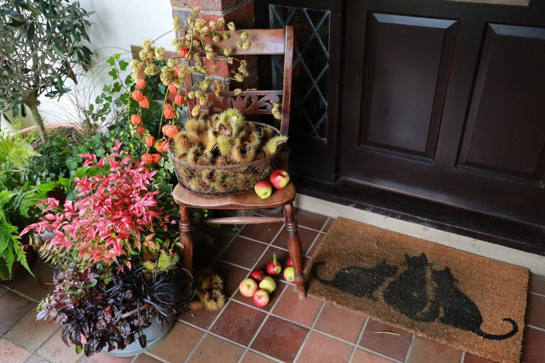 A few ideas for a fabulous fall porch