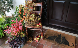 A few ideas for a fabulous fall porch