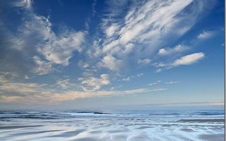 How to Use a Polarising Filter