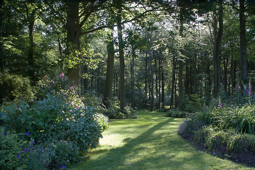 Top Tips for Creating Large Gardens