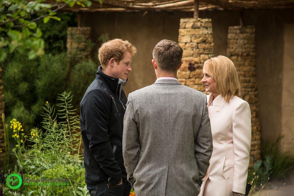 Prince Harry's Garden at Chelsea Flower Show - Sentebale