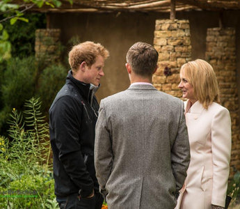 Prince Harry's Garden at Chelsea Flower Show - Sentebale