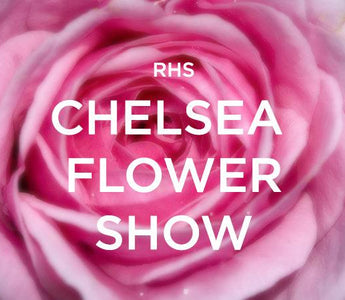 Breaking News:  Chelsea Flower Show 2015 Medals Announced!