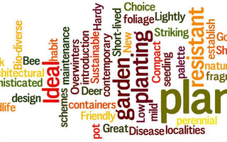 The new language of the gardening world #hortispeak