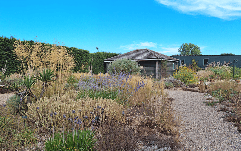 Beth Chatto Gardens
