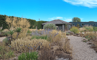 Beth Chatto Gardens