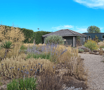 Beth Chatto Gardens