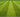 How to sow a new lawn
