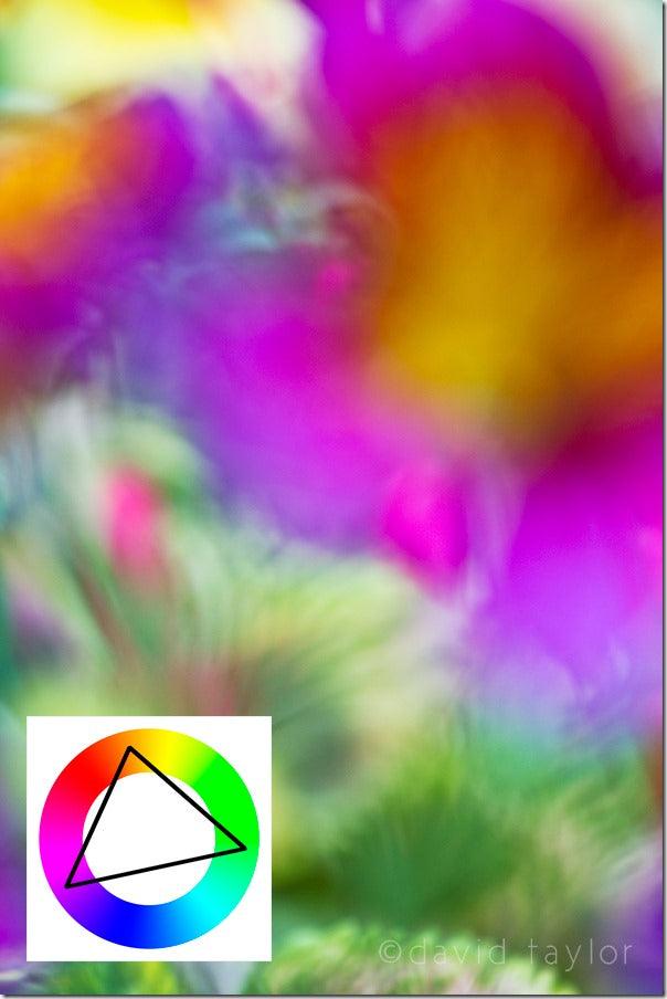 Colour Harmonies: Watching the Wheel
