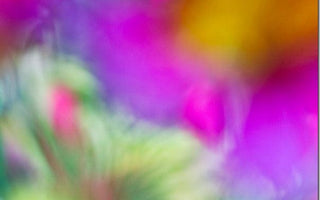 Colour Harmonies: Watching the Wheel