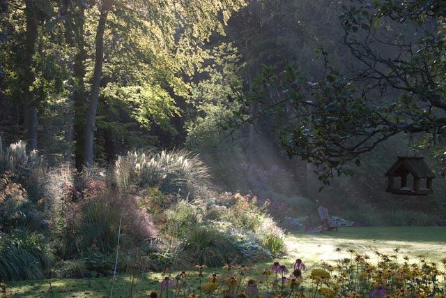 Gardening Bucks Recession as a Growth Industry