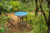 A Perfumer's Garden in Grasse Chelsea Flower Show 2015