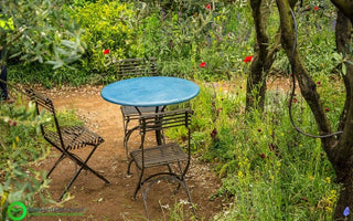 A Perfumer's Garden in Grasse Chelsea Flower Show 2015