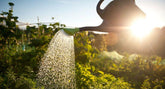 How Gardening Can Improve Your Mental And Physical Health