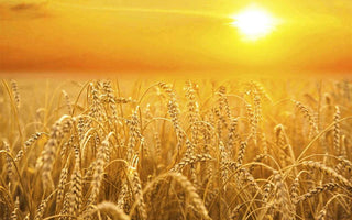 September Photo Inspiration