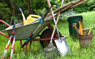6 Essential Garden Tools