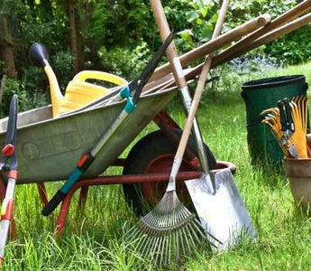 6 Essential Garden Tools