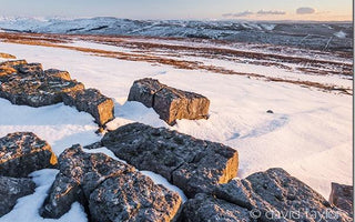 Exposure: Understanding Your Camera's Lightmeter