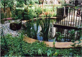 Making the most of your pond: fountains, cascades, filters or still water