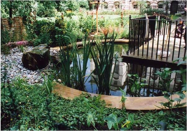 Making the most of your pond: fountains, cascades, filters or still water
