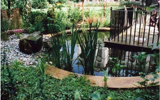 Making the most of your pond: fountains, cascades, filters or still water