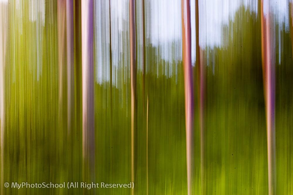 Camera Craft: Landscape or Portrait?