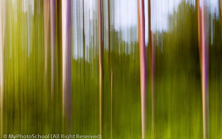 Camera Craft: Landscape or Portrait?