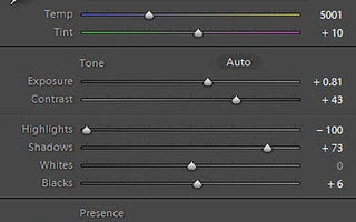 Exposure VS Highlights VS Whites