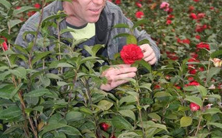 An Interview with Gary Long; Head Gardener at Trewithen, one of the Great Gardens of Cornwall, UK