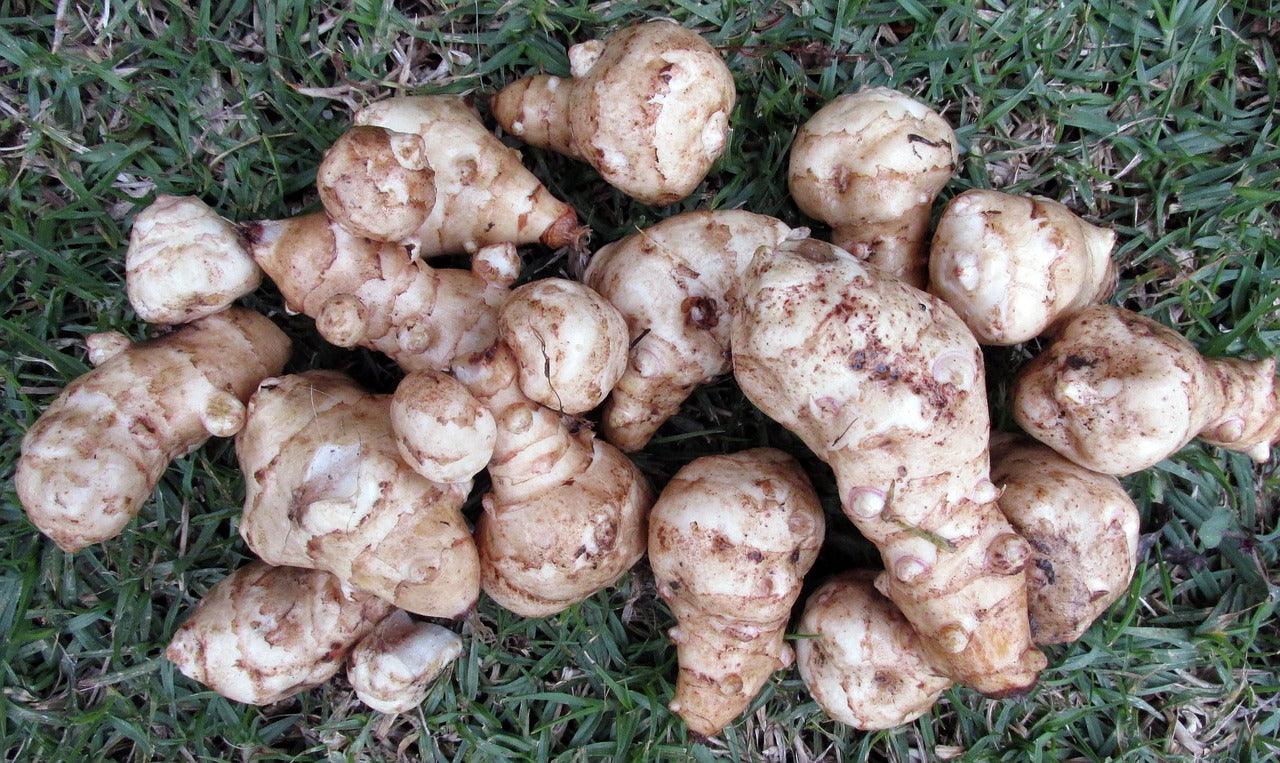Jerusalem Artichokes