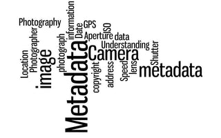 Making Sense of Metadata