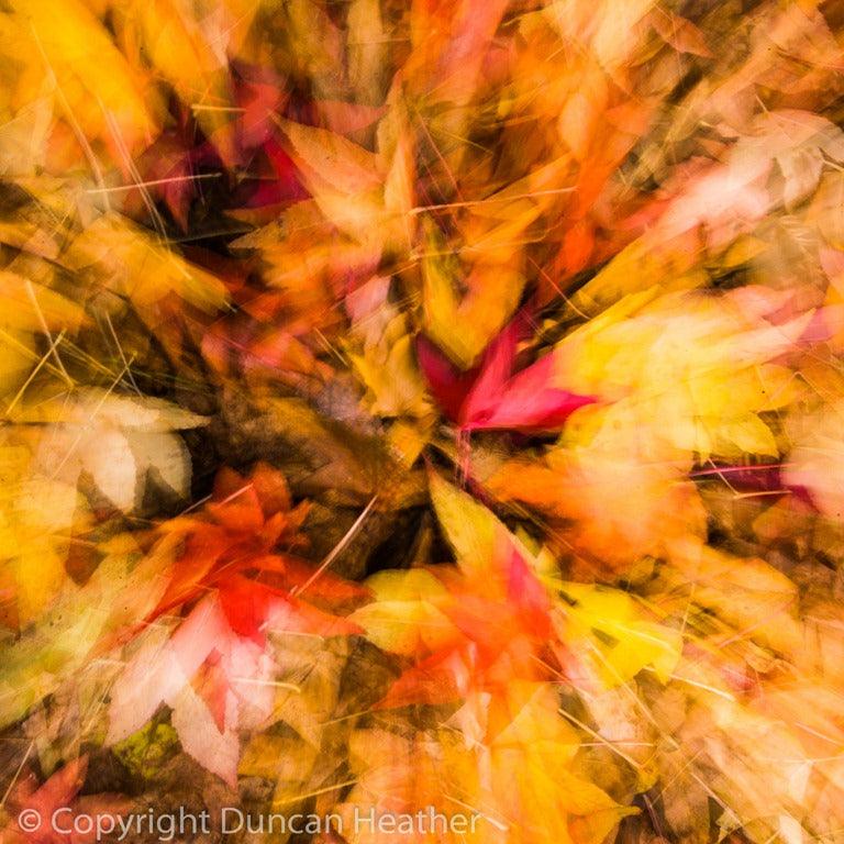 7 Photography Tips for Great Autumn Images