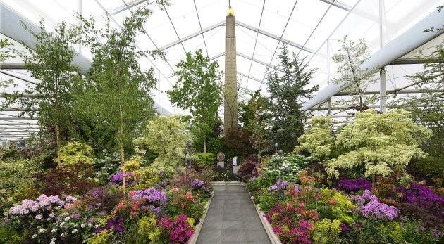 Crossing Continents: a muliti-cultural society of plants in a garden