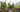 Crossing Continents: a muliti-cultural society of plants in a garden