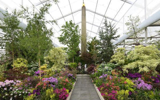 Crossing Continents: a muliti-cultural society of plants in a garden
