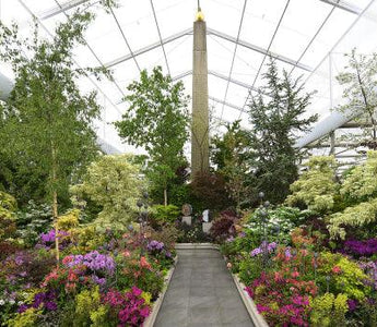 Crossing Continents: a muliti-cultural society of plants in a garden