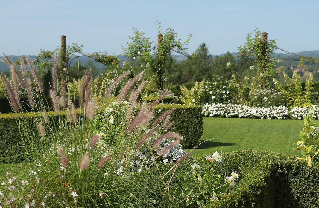 Adding light height to your planting