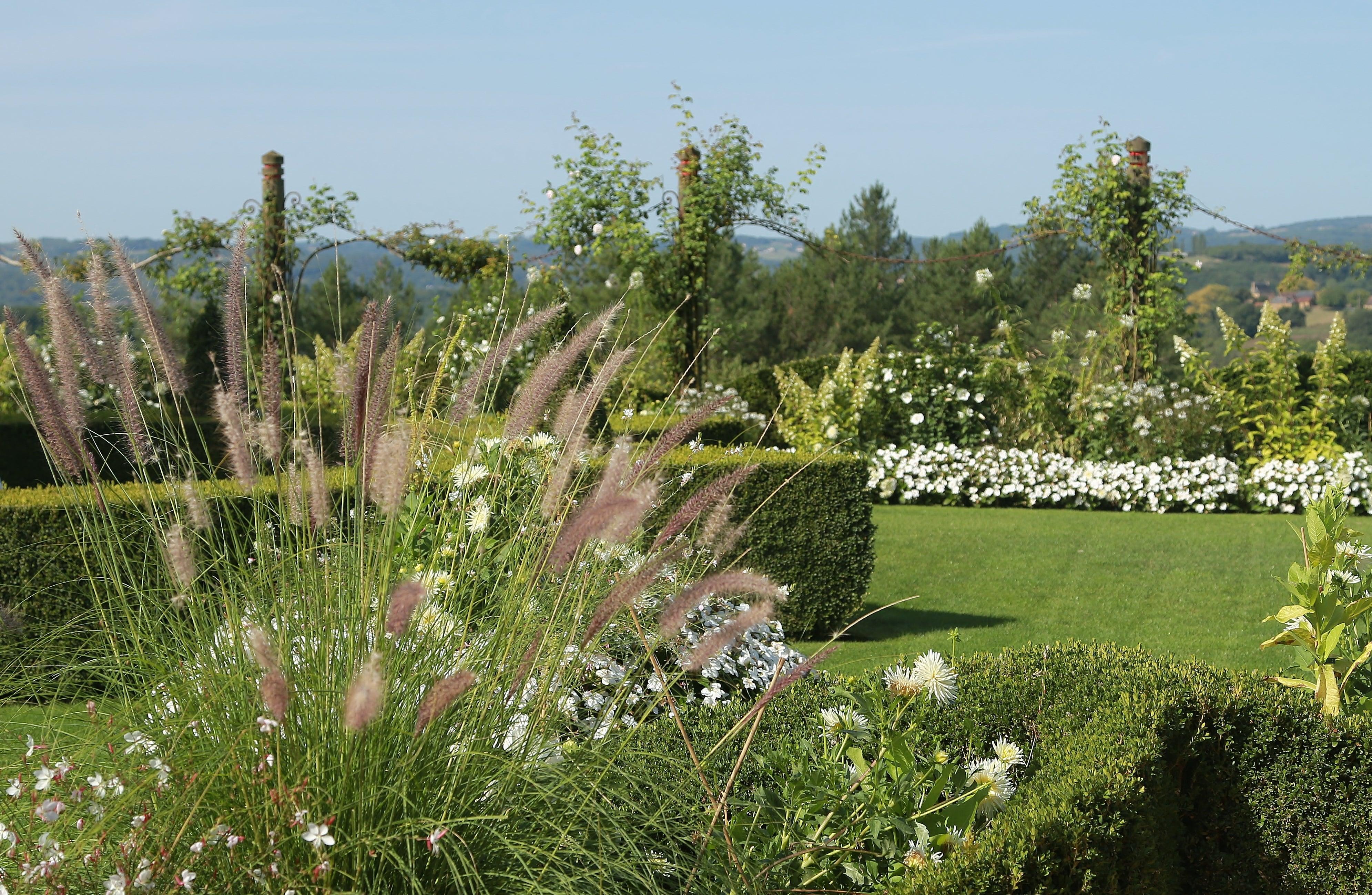 Adding light height to your planting