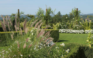 Adding light height to your planting