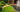 The Homebase Garden Chelsea Flower Show 2015