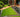 The Homebase Garden Chelsea Flower Show 2015