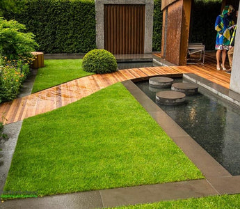 The Homebase Garden Chelsea Flower Show 2015