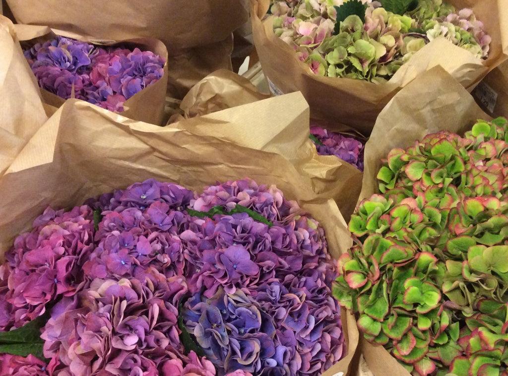Top trends in cut flowers
