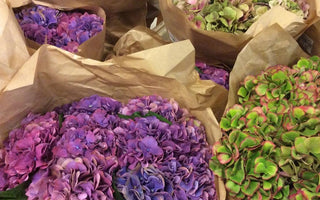 Top trends in cut flowers
