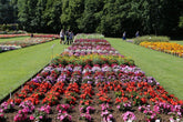 Summer bedding showcase; report from the trial grounds