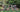 RHS Chelsea Flower Show Highlights
