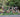 RHS Chelsea Flower Show Highlights