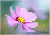 How to improve your photography