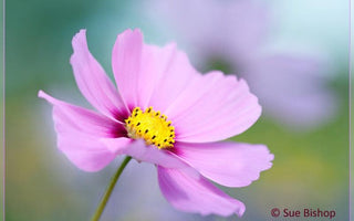 How to improve your photography