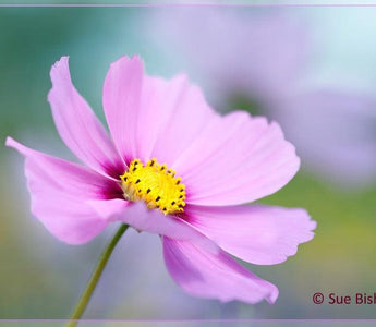 How to improve your photography
